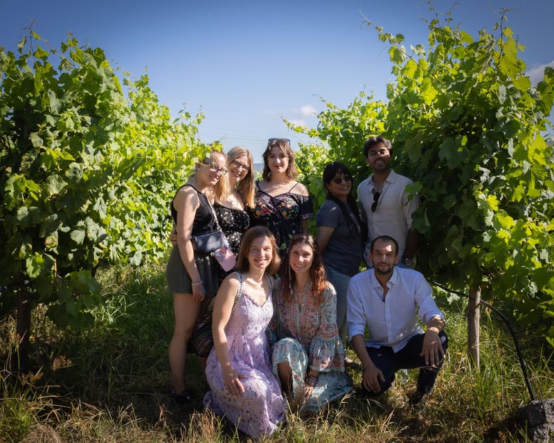 Porto: Douro Valley Wine Tour with a Sommelier & Boat Trip - What the $127 price really covers