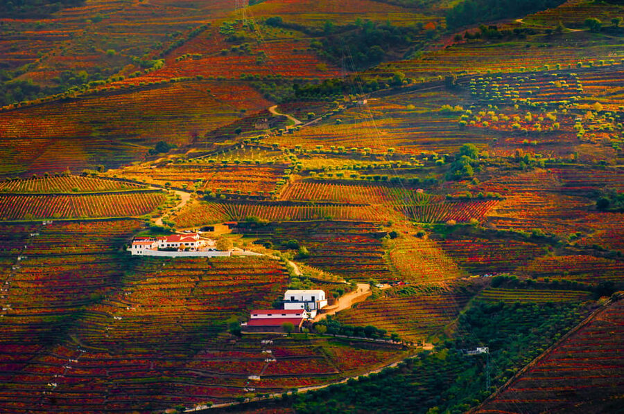 Porto: Douro Valley Wine Tour with a Sommelier & Boat Trip - Who will enjoy this tour most