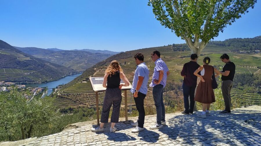 Porto: Douro Valley Wine Tour with Tastings, Boat, and Lunch - Why the small group matters on a long Douro day