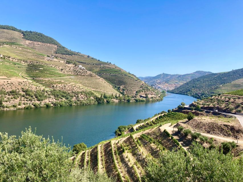 Porto: Douro Valley Wine Tour with Tastings, Boat, and Lunch - First winery: Port production and the first tasting
