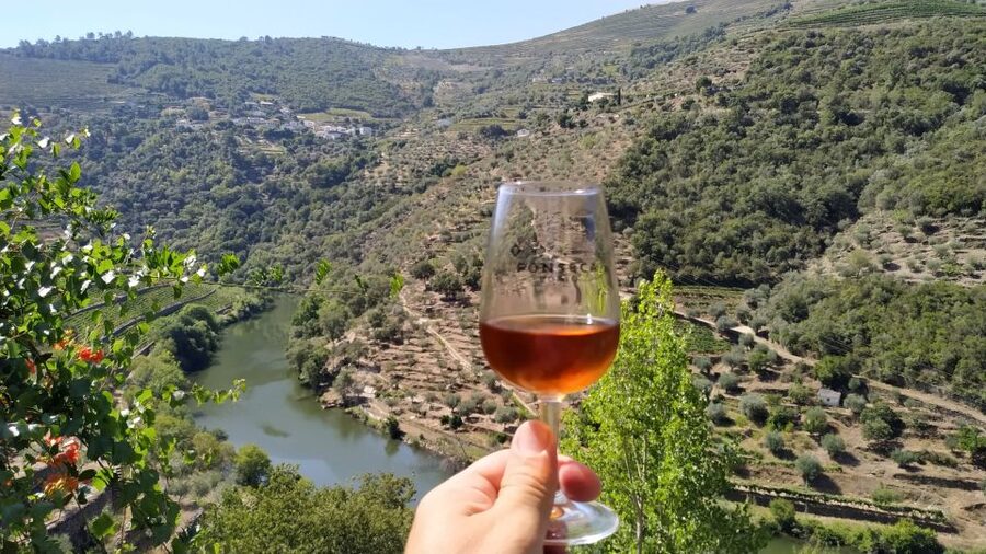 Porto: Douro Valley Wine Tour with Tastings, Boat, and Lunch - The country-house lunch cooked over open fire