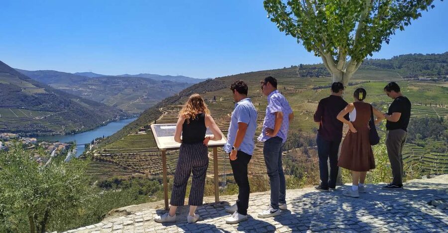 Porto: Douro Valley Wine Tour with Tastings, Boat, and Lunch - The ride back to Porto