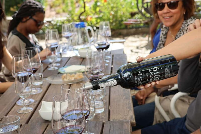 Porto: Douro Valley Wine Tour with Tastings, Lunch & Cruise - Key Points at a Glance