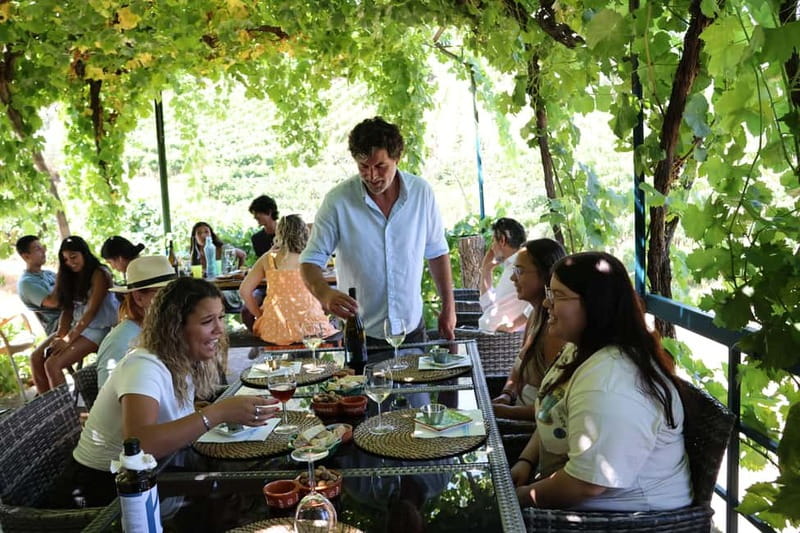 Porto: Douro Valley Wine Tour with Tastings, Lunch & Cruise - Transport, Timing, and Group Size