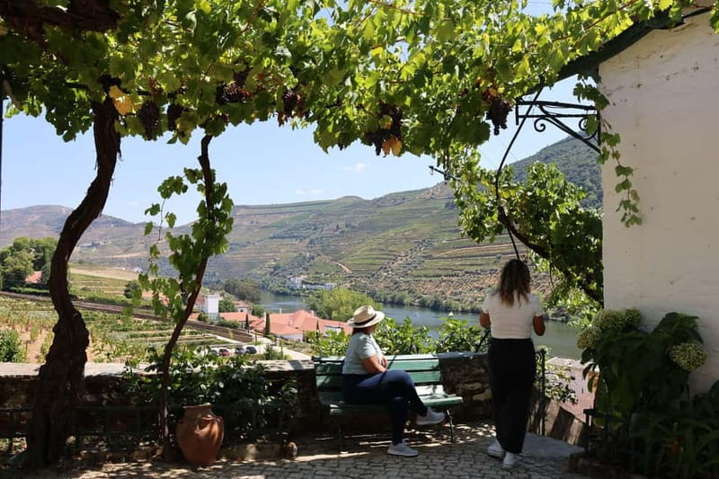 Porto: Douro Valley Wine Tour with Tastings, Lunch & Cruise - The N222 Is Part of the Experience