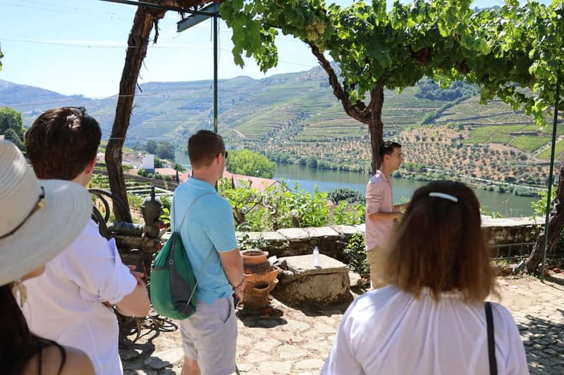 Porto: Douro Valley Wine Tour with Tastings, Lunch & Cruise - Lunch at a Winery Is the Heart of the Day