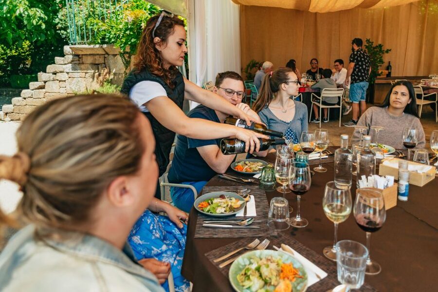 Porto: Douro Valley with Winery Lunch, Tastings & Cruise - The day in five useful points