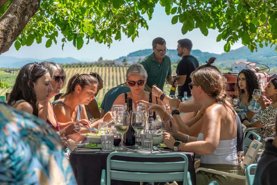 Porto: Douro Valley with Winery Lunch, Tastings & Cruise - My verdict: a very good all-round Douro day