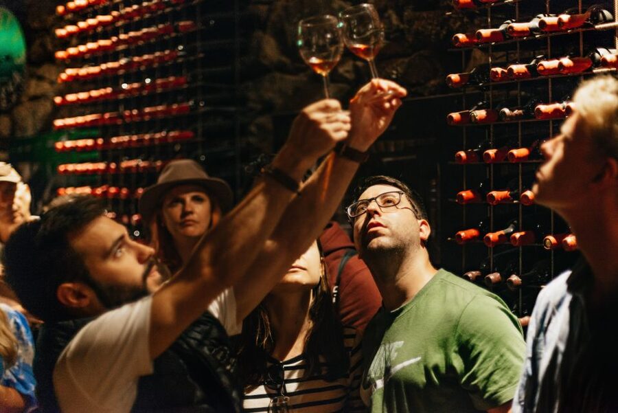 Porto: Douro Valley with Winery Lunch, Tastings & Cruise - The N222 makes the return journey part of the tour