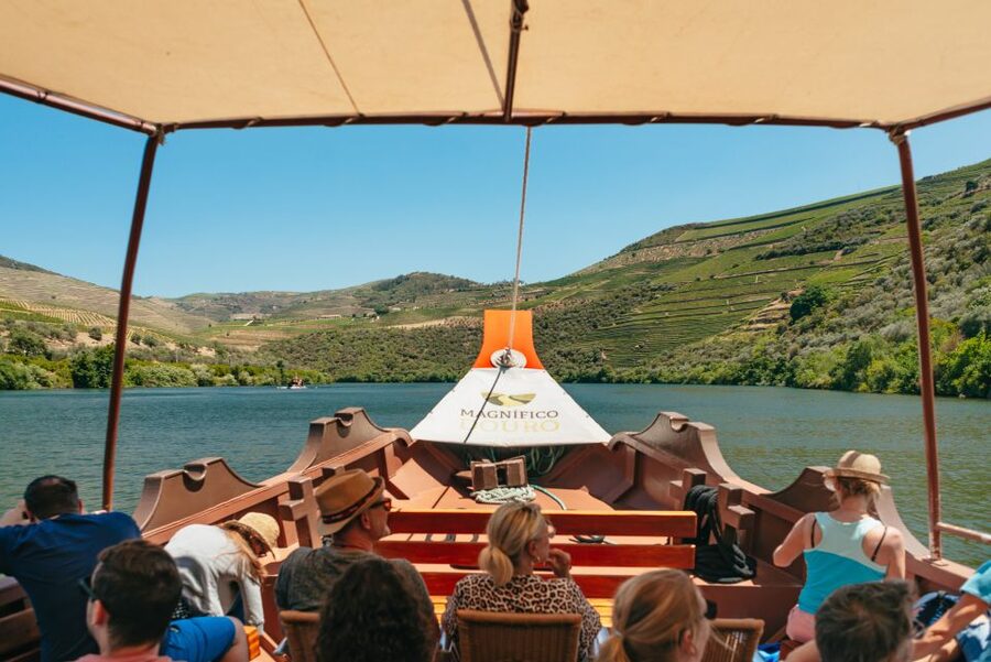 Porto: Douro Valley with Winery Lunch, Tastings & Cruise - Who will enjoy this day most?