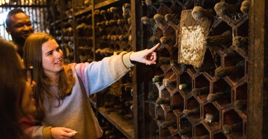 Porto: Food & Wine Tasting Walking Tour with Port Wine Cave - Key points at a glance