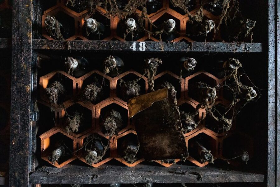 Porto: Food & Wine Tasting Walking Tour with Port Wine Cave - What to wear and how to prepare