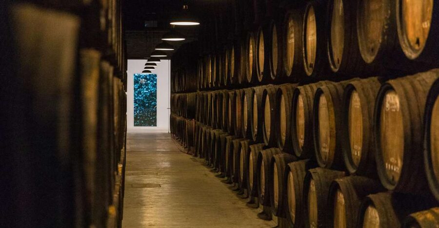 Porto: Guided Tour and Tasting of 3 Port Wines at Poças - Inside the cellar with a Port guide