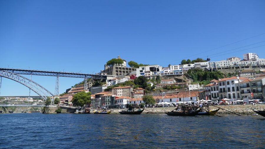 Porto Half-Day Tour and Wine Tasting - Walking, timing, and what to bring