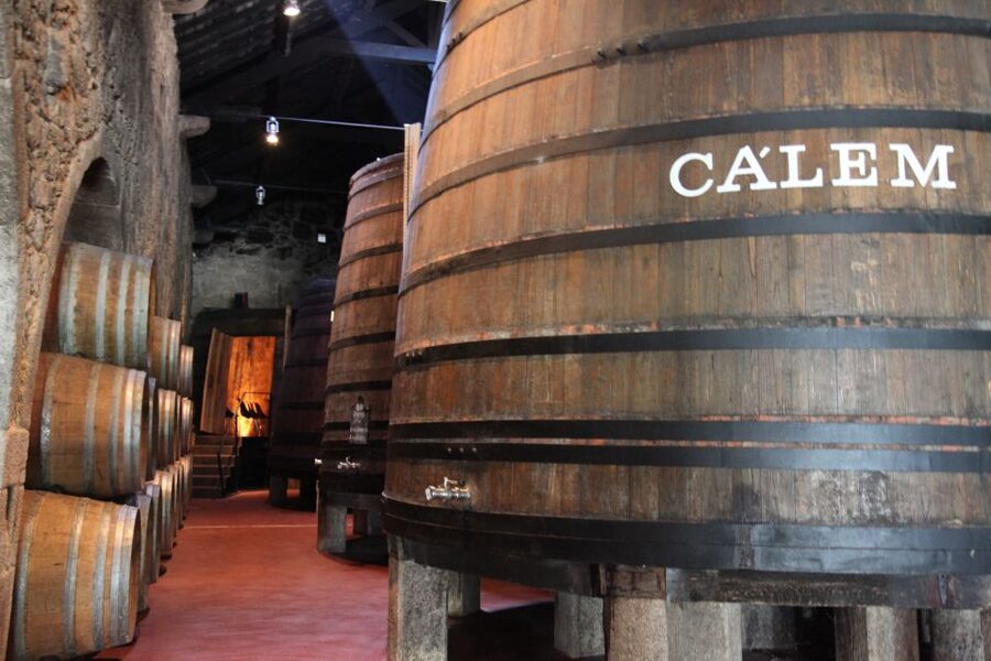 Porto: Hop-on Hop-off Bus with Optional Cruise & Wine Cellar - The Blue Line: Porto’s big sightseeing circuit
