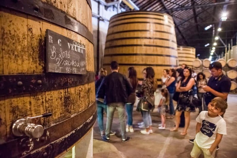 Porto: Magic Train Tour and Port Wine Cellar with Tastings - Key points to know before you book