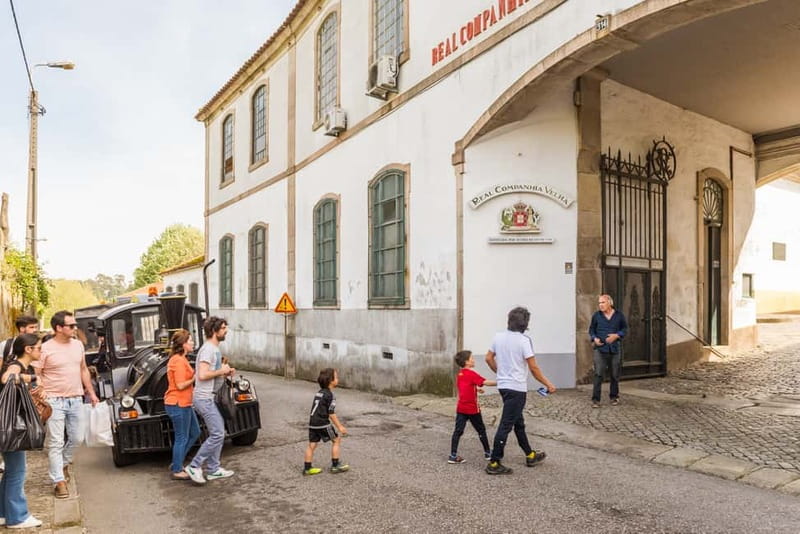 Porto: Magic Train Tour and Port Wine Cellar with Tastings - The ride is fun, but Porto’s cobbles fight back