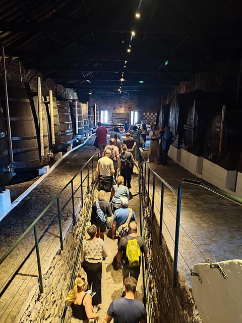 Porto: Port and Douro Wine Walking Tour with 9 Tastings - Meeting at the riverfront and settling into the group