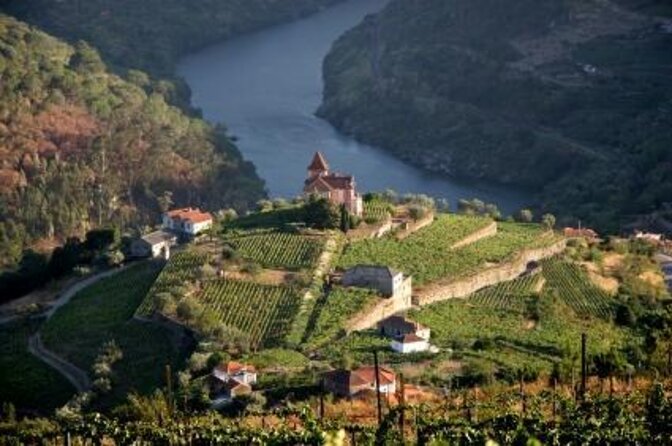 Porto: Port and Douro Wine Walking Tour With 9 Wine Tastings - Five useful things to know before you go