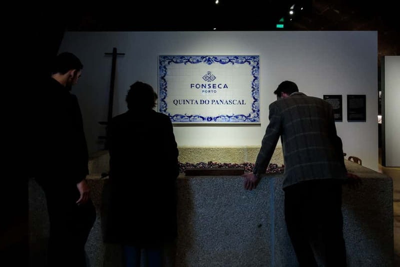 Porto: Port Cellar Visit and Wine Tasting at Fonseca - Walking through the old cellar spaces