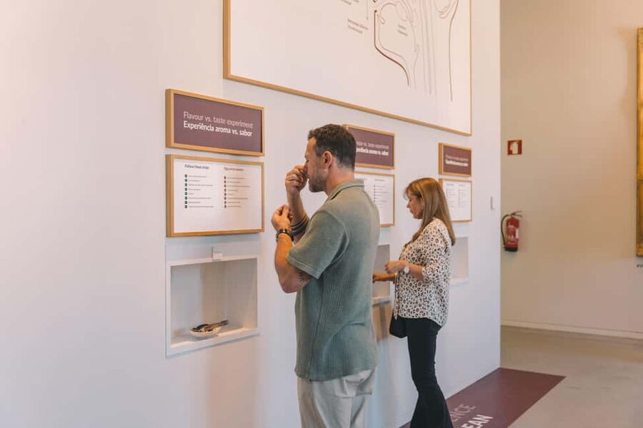 Porto: The Wine Experience, Best Wine Museum in the World - Key points to know before you go