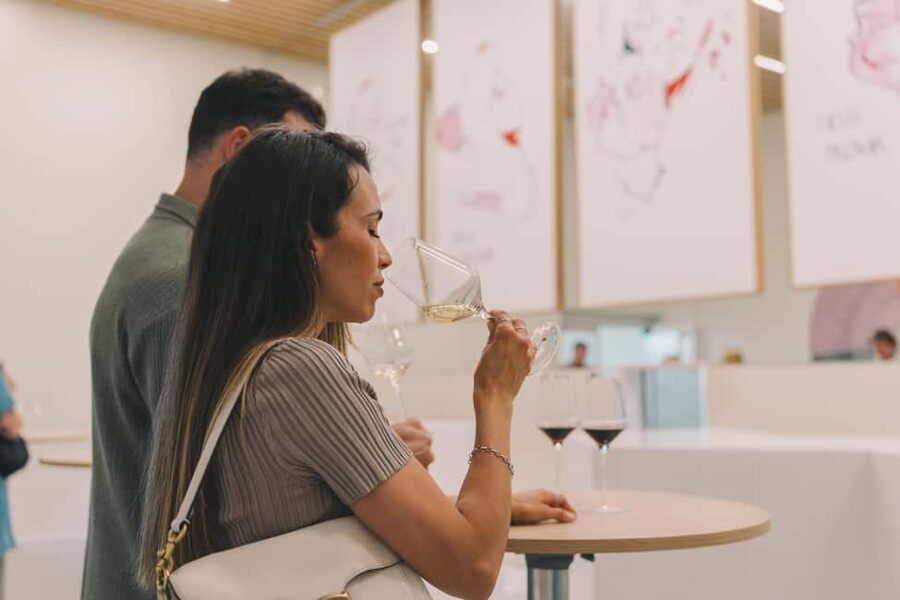 Porto: The Wine Experience, Best Wine Museum in the World - Should you book The Wine Experience?