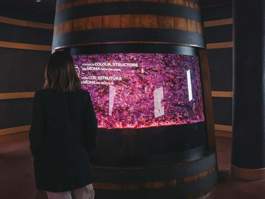 Porto: The Wine Experience, Best Wine Museum in the World - Portugal’s wine regions, from Vinho Verde to Madeira