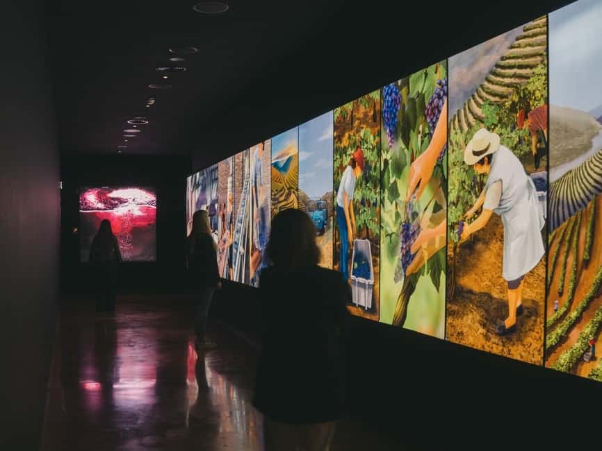 Porto: The Wine Experience, Best Wine Museum in the World - Price, timing, and practical value
