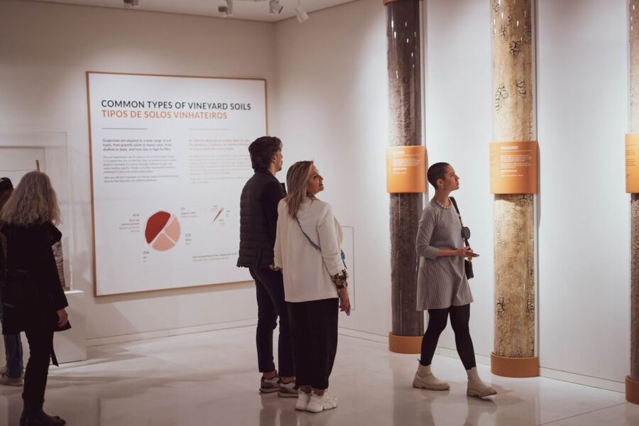 Porto: The Wine Experience, Best Wine Museum in the World - Who will enjoy this museum most?