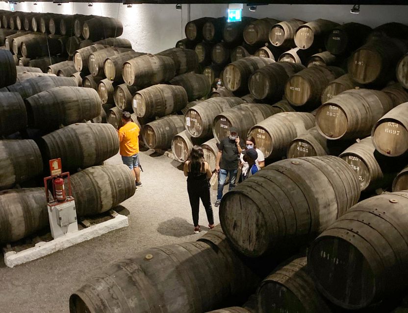 Porto: Wine Tasting with Tapas Walking Tour - Strengths and limits of the walking format
