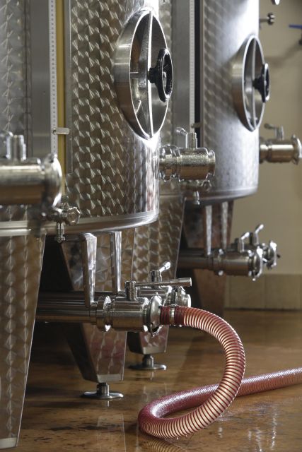 Pramaggiore: Ornella Bellia Winery Guided Tour & Tasting - From vineyard rows to the bottling room