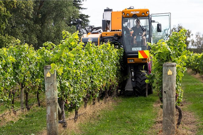 Premium 4 -Best Wineries Napier Hawke's Bay Tour, 5.5h - 6Hours - Key Points Before You Book