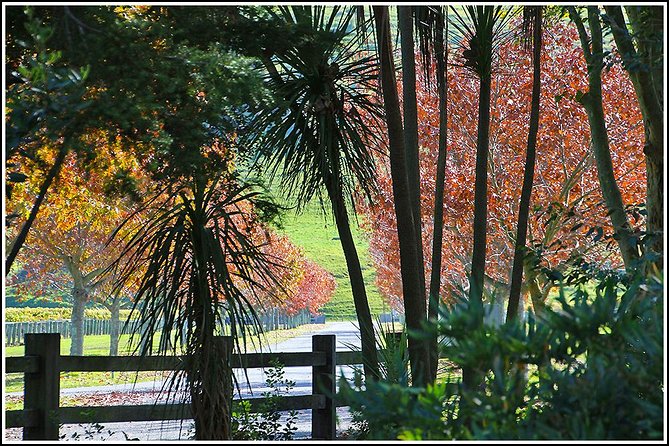 Premium 4 -Best Wineries Napier Hawke's Bay Tour, 5.5h - 6Hours - How Much Wine Will You Taste?