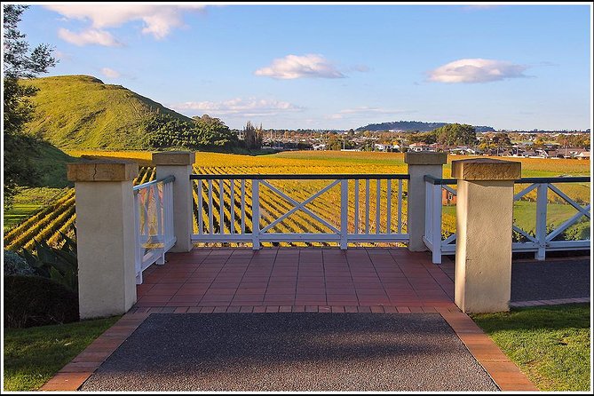 Premium 4 -Best Wineries Napier Hawke's Bay Tour, 5.5h - 6Hours - A Small Minivan and a Social Afternoon