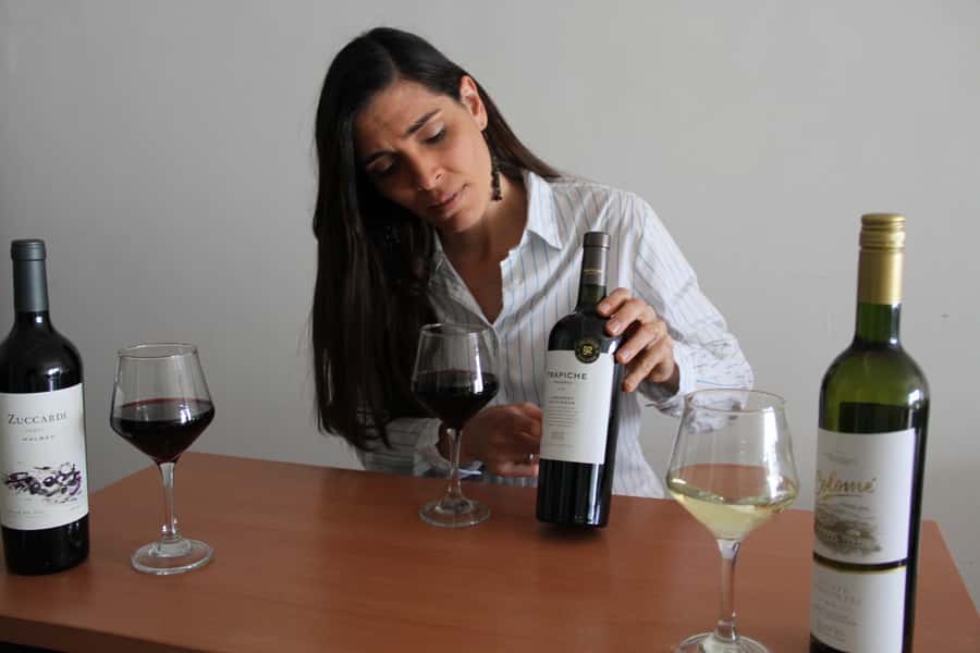 Premium Argentinian Wines and Malbec Tasting Experience - What the 90 minutes feel like