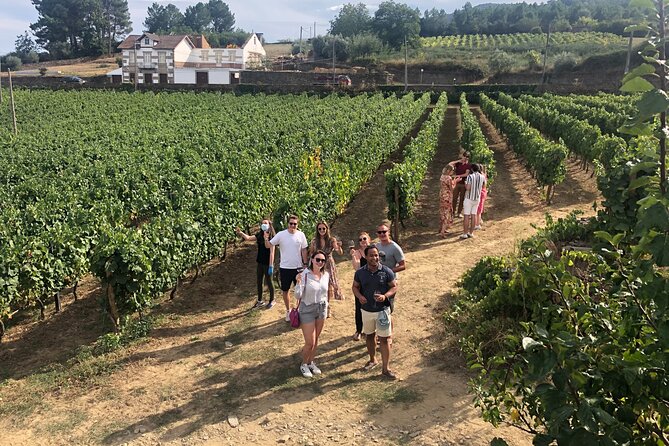 Premium Douro Valley Small-Group Tour, Wine Tasting, Lunch & Boat - Why the Douro Valley makes a good day from Porto