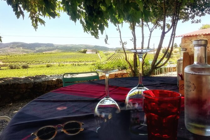 Premium Douro Valley Small-Group Tour, Wine Tasting, Lunch & Boat - 8:30 pickup and the long road east