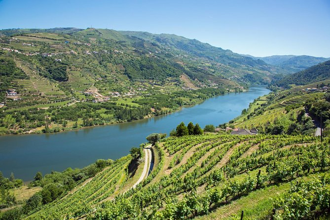 Premium Douro Valley Small-Group Tour, Wine Tasting, Lunch & Boat - The small-group advantage, and its limits