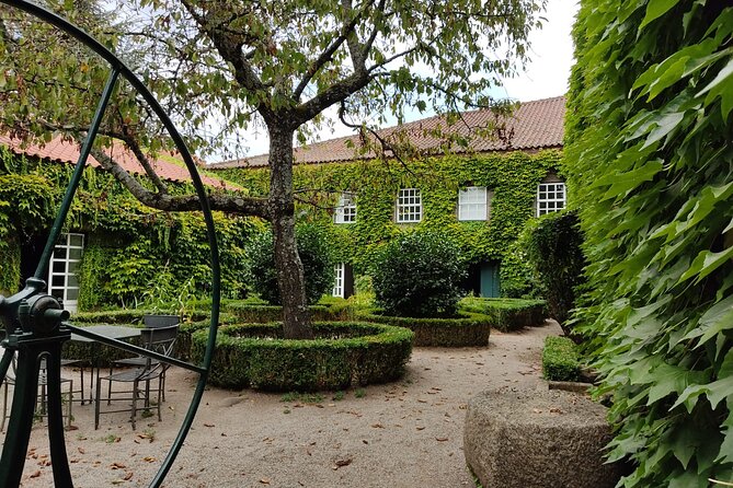 Premium Douro Valley Small-Group Tour, Wine Tasting, Lunch & Boat - Pinhão and one quiet hour on the Douro