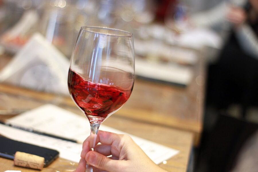 Premium Empanadas Cooking Class & Wine Tasting Experience - Tasting Malbec, Cabernet Sauvignon, and Cabernet Franc