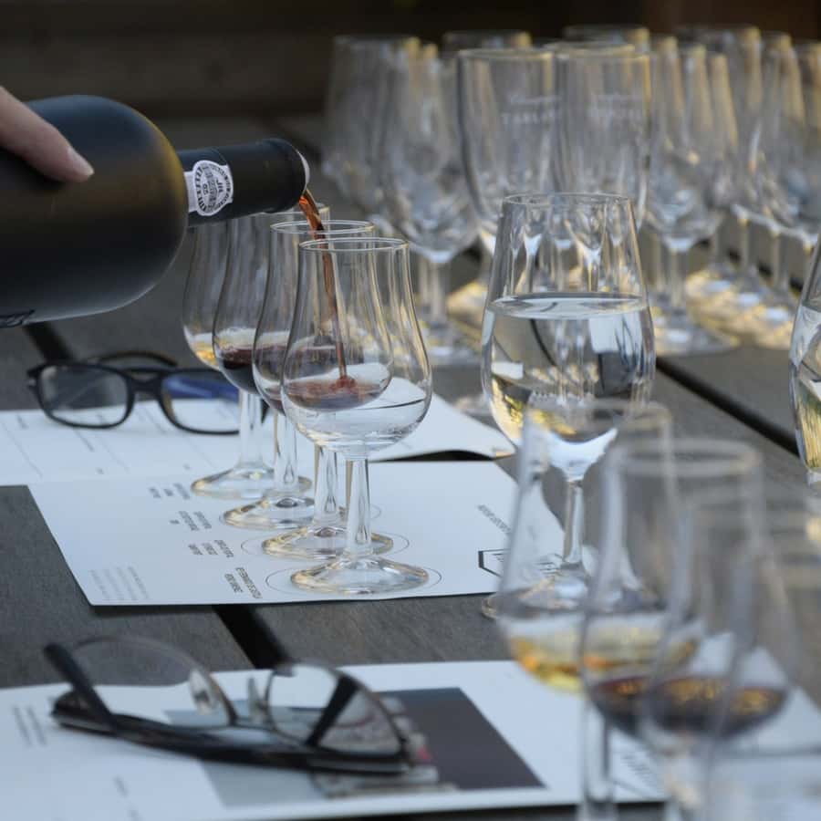 Premium Empanadas Cooking Class & Wine Tasting Experience - What the $49 price buys you