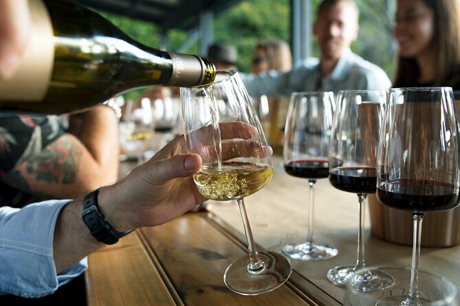 Premium Hunter Valley Wine Tour with Lunch from Sydney - Hunter Valley Gardens and the Final Chocolate Pairing