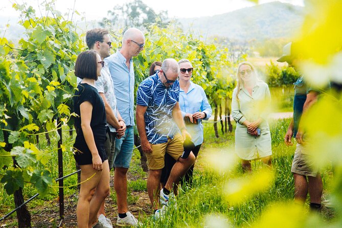 Premium Hunter Valley Wine Tour with Lunch from Sydney - How Much Value Do You Get for €159.25?