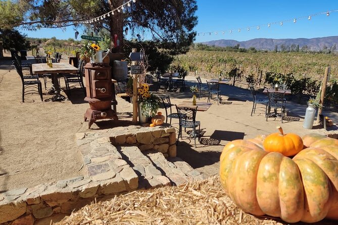 Premium Valle de Guadalupe Wine and Food Tour - What the $259 price really covers