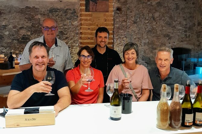 Priorat tour to 3 small wineries and hotel pick-up - The day at a glance