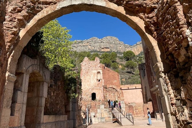 Priorat tour to 3 small wineries and hotel pick-up - Ending among old vines at Celler Devinssi
