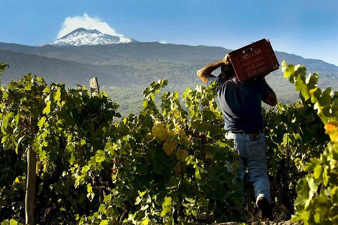 Private 6-Hour Tour of Three Etna Wineries with food&wine tasting - Leaving Taormina for Etna wine country