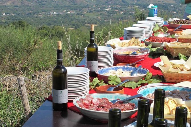 Private 6-Hour Tour of Three Etna Wineries with food&wine tasting - Third stop: smaller pours, strong views, and local grapes
