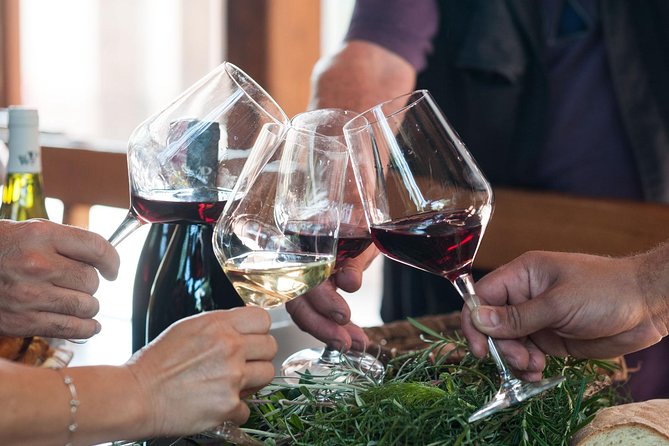 Private 6-Hour Tour of Three Etna Wineries with food&wine tasting - Why the private vehicle is worth the price