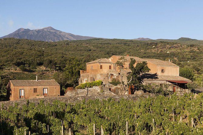 Private 6-Hour Tour of Three Etna Wineries with food&wine tasting - Timing matters, especially from Messina